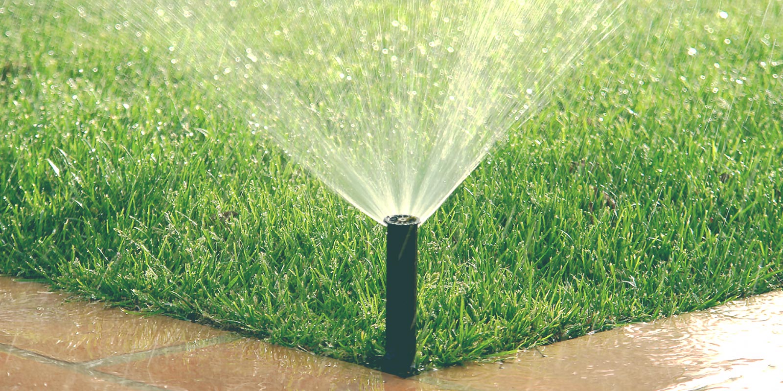 Watering Your Orlando Lawn: Practical Tips for Conservation and Healthy Grass