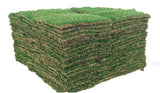 St. Augustine Classic Sun or Shade Sod Pallet - 400 Square Foot