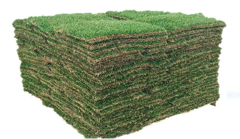 St. Augustine Classic Sun or Shade Sod Pallet - 400 Square Foot