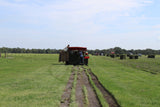 Bahia Sod Pallet - 400 Sq. Ft - Low Maintenance Drought Tolerant Grass For Central Florida