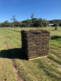 Bahia Sod Pallet - 400 Sq. Ft - Low Maintenance Drought Tolerant Grass For Central Florida