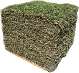 Floratam St. Augustine Sod - 400 Square Foot Pallet