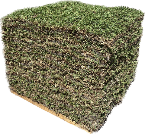 Floratam St. Augustine Sod - 400 Square Foot Pallet